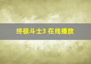 终极斗士3 在线播放